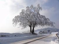  11. Februar 2012 - auf dem Weg zur Landmark